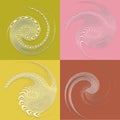 set of white helical, spiraling, curl and curly shapes. spiral, twirl, swirl illustration. twine design elements over single-color