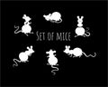 Set of white mice on a black background. Mouse in different poses in simple style. Animal sketch. Royalty Free Stock Photo