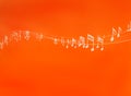 White music notes on orange background abstract 3d illustration Royalty Free Stock Photo