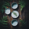 A set of white porcelain plates, one bearing a small sprig of greenery, is presented on a dark-colored surface Royalty Free Stock Photo
