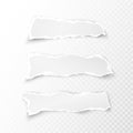 Set of white ripped pieces of paper on transparent background. vector illustration Royalty Free Stock Photo