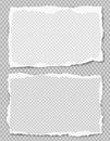 Set of white squared ripped notebook paper, torn note paper strips stuck on grey background. Vector illustration