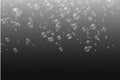 Set of white water realistic soap bubbles. Royalty Free Stock Photo