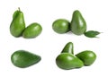Set of whole avocados on background