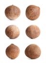 Set of whole brown coconuts isolated Royalty Free Stock Photo