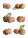 Set of whole brown coconuts isolated Royalty Free Stock Photo