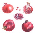 Set of whole, half, broken pomegranate. Grains of garnet fruit. Made in the technique of colored pencils. Hand drawn Royalty Free Stock Photo