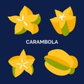 Set of whole and half carambola, sliced. Doodle illustration of vector exotic fruit isolated on dark background