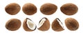 A set of Whole and half cocoanuts. Isolated on a white background