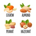 Set whole and half hazelnut, peanut, almond. Vector realistic icon.