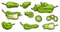 Set of Padron peppers. Cartoon style. Royalty Free Stock Photo