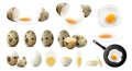 Set of whole, half, sliced and broken spotted quail eggs. Raw, fried and boiled eggs, isolated on white background. Crack eggs Royalty Free Stock Photo