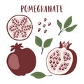 Set of whole pomegranate fruit, segment, pomegranate seeds and leaves