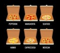Set whole pizza in open white box. Pepperoni, Hawaiian, Margherita, Mexican, Seafood, Capricciosa. Vector isolated flat Royalty Free Stock Photo