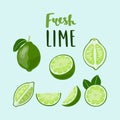 Set of whole and sliced limes with lettering Royalty Free Stock Photo