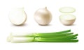 Set of Whole and Sliced Onion Bulbs with Green Onions