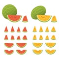 Set of whole and sliced watermelon with seeds isolated in white background. Fresh fruits in different shape and color