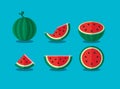 Set of whole and slices watermelon. vector illustration