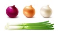 Set of Whole Yellow Red White Green Onion Bulbs