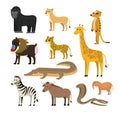 Set of wild african animals Royalty Free Stock Photo