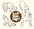 Set of wild animals: fox, bear, ermine and roe con