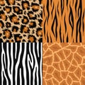 Wild animals seamless patterns set. Leopard, tiger, zebra, giraffe. Royalty Free Stock Photo