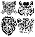 Set of wild big cats isolated on white. Royalty Free Stock Photo