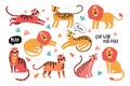 Set of wild cats, leopard, lion, tiger. Animals Taiwan. Flat vector illustration. Wild exotic animals. Cute animal Royalty Free Stock Photo