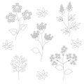 Set of isolated wild flowers on a white background Royalty Free Stock Photo