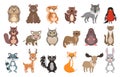 Set of wild forest animals. Cute baby hedgehog, bear, squirrel, wolf, raccoon, hare, mole, deer vector illustration