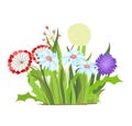 Set of wild forest and garden flowers. Spring concept. Flat vector flower illustration isolate on a white background. Royalty Free Stock Photo