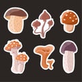 A set of wild forest mushrooms stickers chanterelle, amanita, psilocybe on dark background