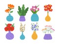 Set of wild and garden blooming flowers in vases and bottles Royalty Free Stock Photo