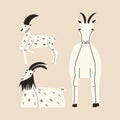 Set of wild goats a.in different poses. Horned livestock. Vector illustration in hand drawn style