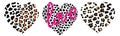 Set of wild heart leopard. Fashion Vector illustration heart shape. Royalty Free Stock Photo