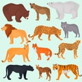 Set of wild predators color flat icons