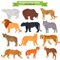 Set of wild predators color flat icons