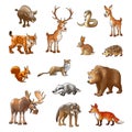 Wild wood animals, color cartoon animals on a white background, vector