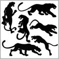 Set of Wildcats silhouettes. Royalty Free Stock Photo