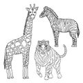 Set wildlife animal giraffe tiger zebra illustration design hand drawing