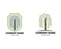 Set of Willow Tree Symbol Logo Vector Royalty Free Stock Photo