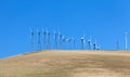 Set of windmills on the cornfield with blue sky Royalty Free Stock Photo