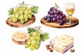 A set of wine appetizer compositions. Cheese, grapes on wooden plates. In watercolor style. AI Generated.