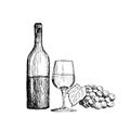 A set of wine. A glass, a bottle and a bunch of grapes Vintage Hand Drawn Sketch Vector illustration.