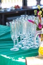 Set of wine glass long stands on a green tablecloth on a blurred background Royalty Free Stock Photo