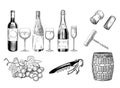 Set of wine. Hand drawn of wine glass, bottle, barrel, wine cork, corkscrew and grapes Royalty Free Stock Photo