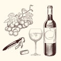 Set of wine. Hand drawn of wine glass, bottle, wine cork, corkscrew and grapes Royalty Free Stock Photo