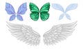 Set of wings of different butterflies and a swan. Vector illustration. Royalty Free Stock Photo