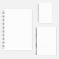 Set of wire bound graph paper notebooks A4, A5, A6 size, template