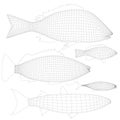 Set with wireframe of various fishes isolated on white background. 3D. Vector illustration